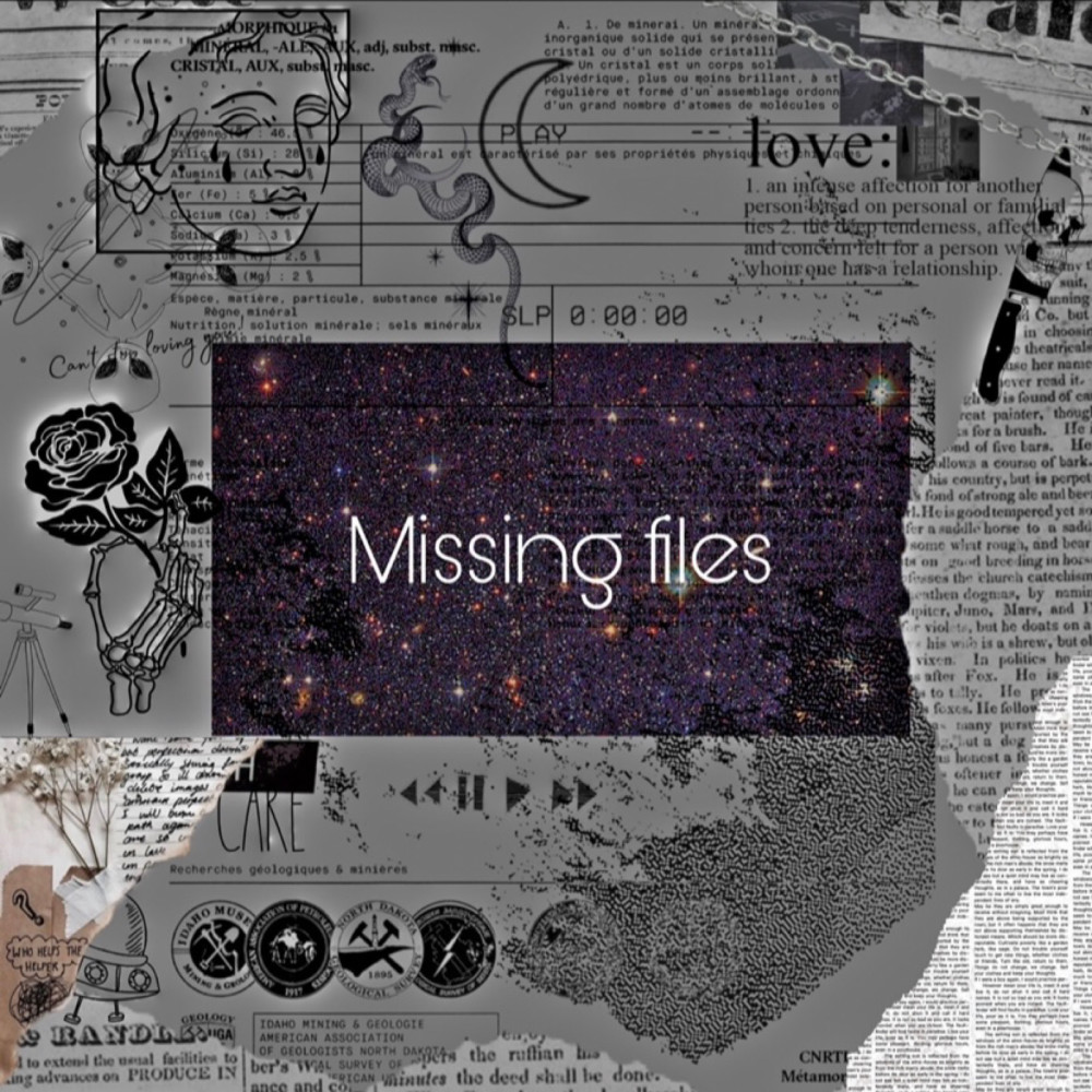 Missing Files (Explicit)