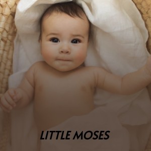 Album Little Moses from 
