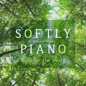 Listen to Meloncholy Melody song with lyrics from Relax α Wave