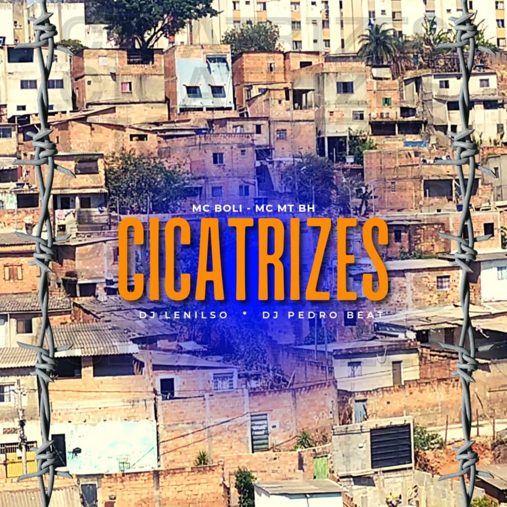 Cicatrizes