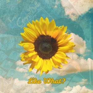 ดาวน์โหลดและฟังเพลง Like What พร้อมเนื้อเพลงจาก blossm & co
