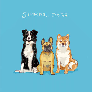 SUMMER DOG的專輯Honey & Sun