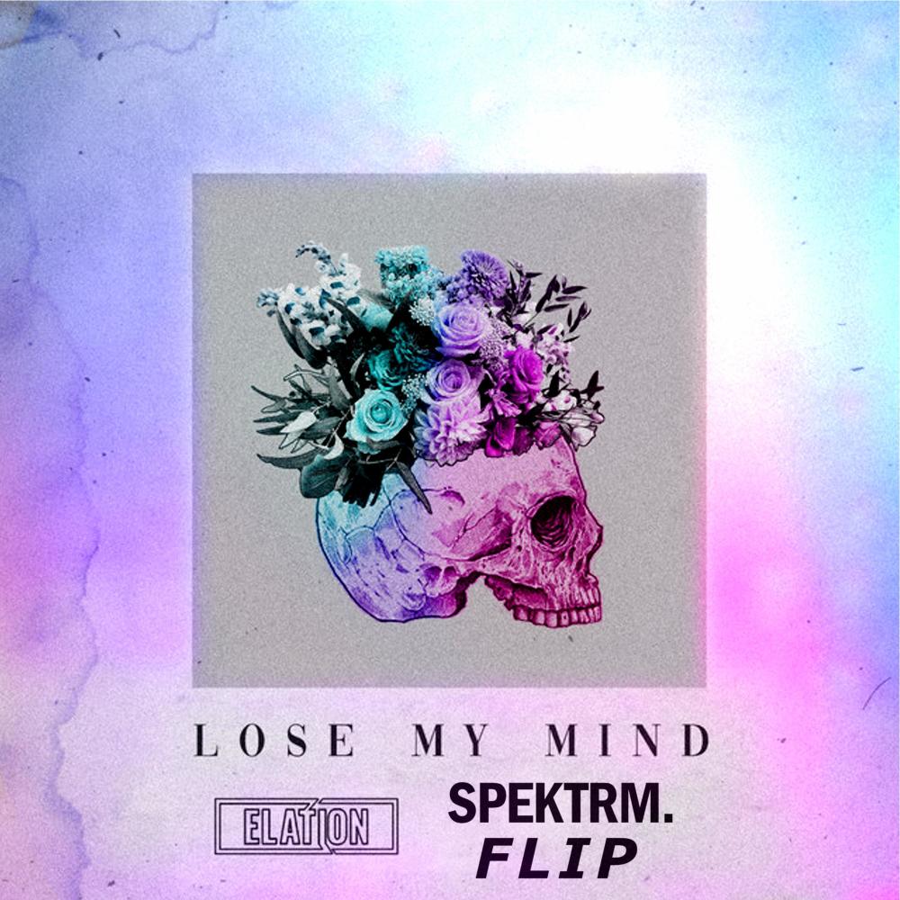 Lose My Mind (SPEKTRM. Remix)