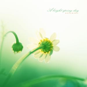 Listen to On the day when the petals fly song with lyrics from 로즈마리