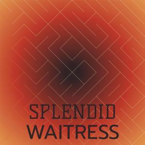 อัลบัม Splendid Waitress ศิลปิน Various