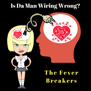 Dengarkan Is da Man Wiring Wrong? (feat. John Ventura & Gleeson Rebello) lagu dari The Fever Breakers dengan lirik