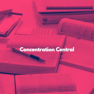 Album Concentration Central oleh Hotel Lounge Deluxe