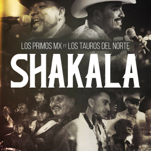 อัลบัม Shakala [feat. Los Tauros del Norte] ศิลปิน Los Primos MX