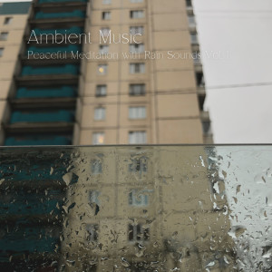 อัลบัม Ambient Music: Peaceful Meditation with Rain Sounds Vol. 1 ศิลปิน Relaxing Chill Out Music
