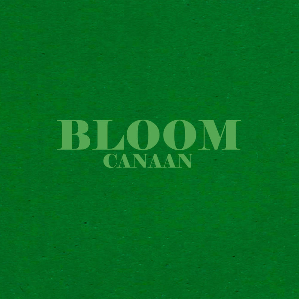 Bloom