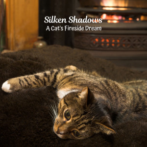 Silken Shadows: A Cat's Fireside Dream