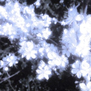 Listen to zulfein (Reprise) song with lyrics from dustxye.