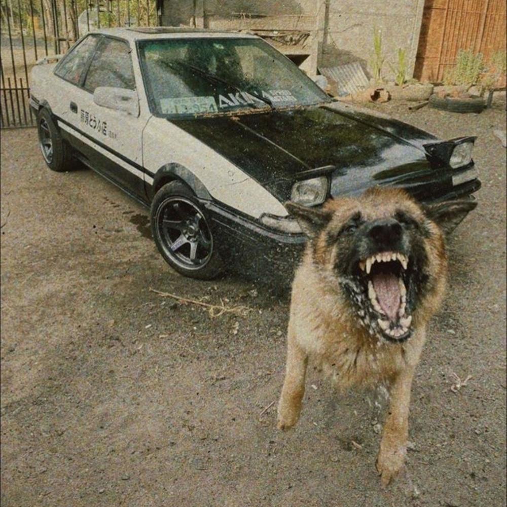 real shit (Explicit)