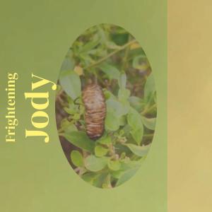 Album Frightening Jody from Various