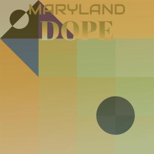 Various Artists的專輯Maryland Dope