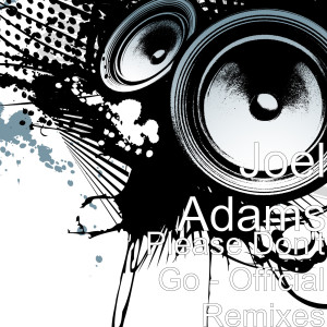 Dengarkan lagu Please Don't Go (Tschax Remix) nyanyian Joel Adams dengan lirik