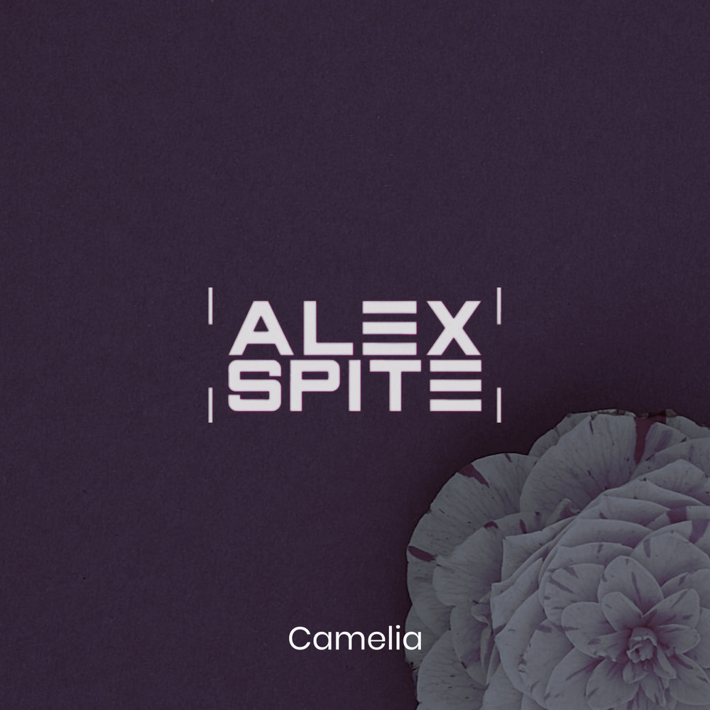 Camelia