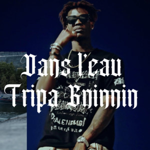 Album DANS L'EAU (Explicit) from Tripa Gninnin