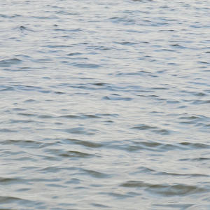 收聽Soft Static的Water歌詞歌曲