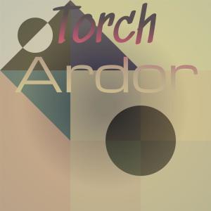 Various Artists的專輯Torch Ardor