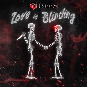 อัลบัม Love is Blinding ศิลปิน Aliwood
