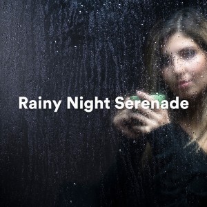 Album Rainy Night Serenade (Mood Music for Relaxation and Inspiration) from Piano Dreamsound