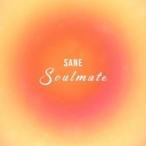 Listen to Soulmate song with lyrics from Sane