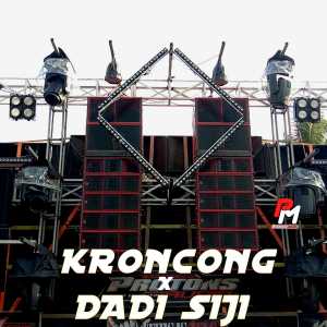 收听DJ Protons的Kroncong x Dadi Siji -Inst歌词歌曲