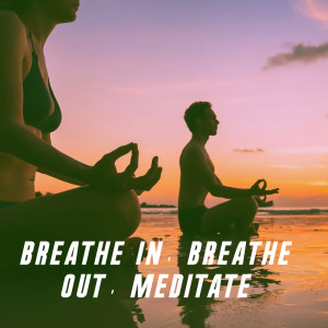 Listen to Calm Desolation song with lyrics from Pranayama Flutes
