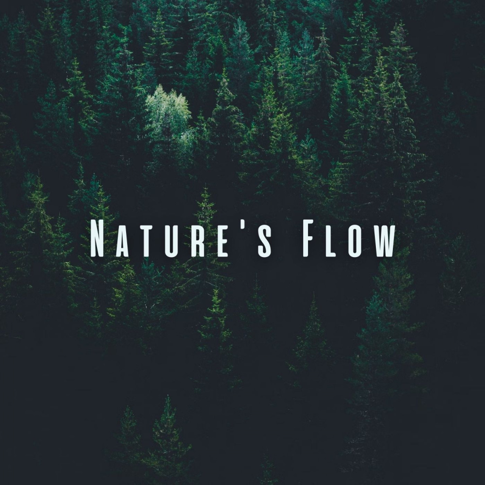 Yoga Flow in Nature