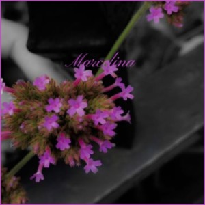 Listen to El Huerfano song with lyrics from Alberto Castillo