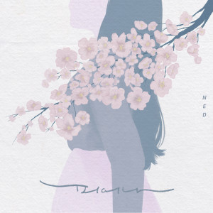 Listen to Blossom song with lyrics from 네드