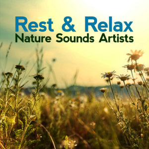 ดาวน์โหลดและฟังเพลง Lakeland Birdlife พร้อมเนื้อเพลงจาก Rest