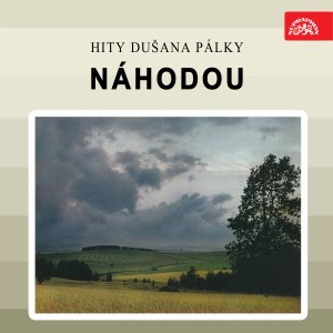 Album Náhodou. Hity dušana pálky oleh Various Artists