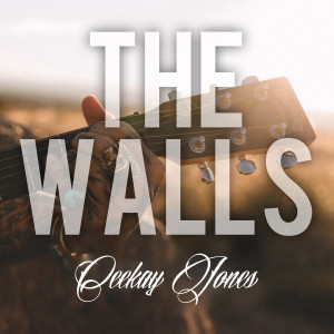 Album The Walls from Ceekay Jones