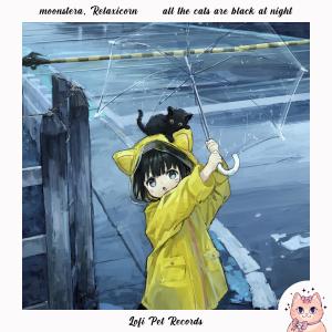 收聽moonstera的all the cats are black at night歌詞歌曲