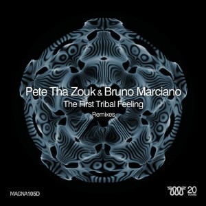 Listen to The First Tribal Feeling (Paul Jays Remix) song with lyrics from Pete Tha Zouk