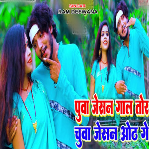 Listen to Puwa Jaisan Gal Tor Chuwa Jesan Oth Ge song with lyrics from Ram Deewana