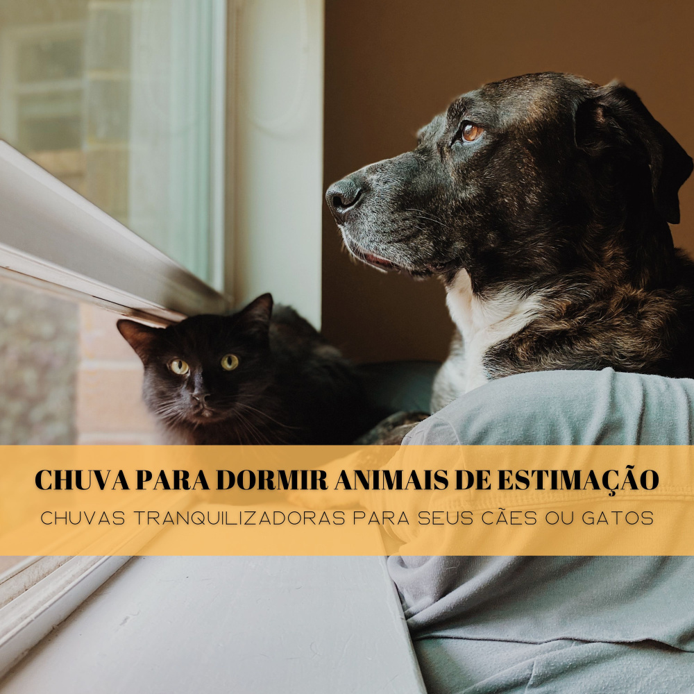 Maulds E Latido Pela Chuva