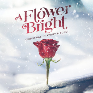 收聽Lifeway Worship的O Holy Night歌詞歌曲