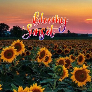 Dengarkan Bersamamu lagu dari Bloomy Sunset dengan lirik