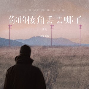 Listen to 你的棱角丢去哪了 (烟嗓男版伴奏) song with lyrics from 张良