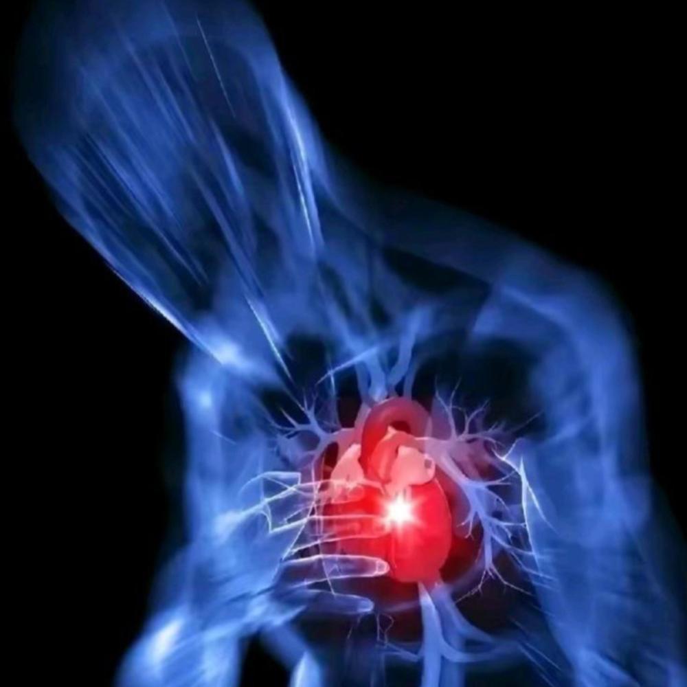 My Heart Gone (Explicit)