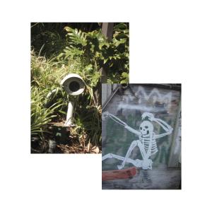 ดาวน์โหลดและฟังเพลง ROSS พร้อมเนื้อเพลงจาก Ivy, the Eternal