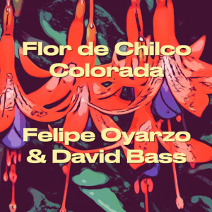 ดาวน์โหลดและฟังเพลง Flor De Chilco Colorada พร้อมเนื้อเพลงจาก Felipe Oyarzo