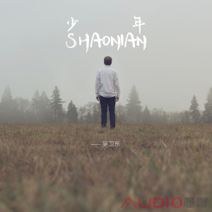 Listen to 少年 (Dj版) song with lyrics from 吴卫东