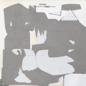 收聽Savak的Oddsmaker (Michael Hampton Remix)歌詞歌曲