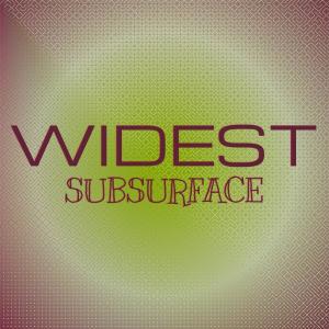 Dengarkan lagu Widest Subsurface nyanyian Mian Meny dengan lirik