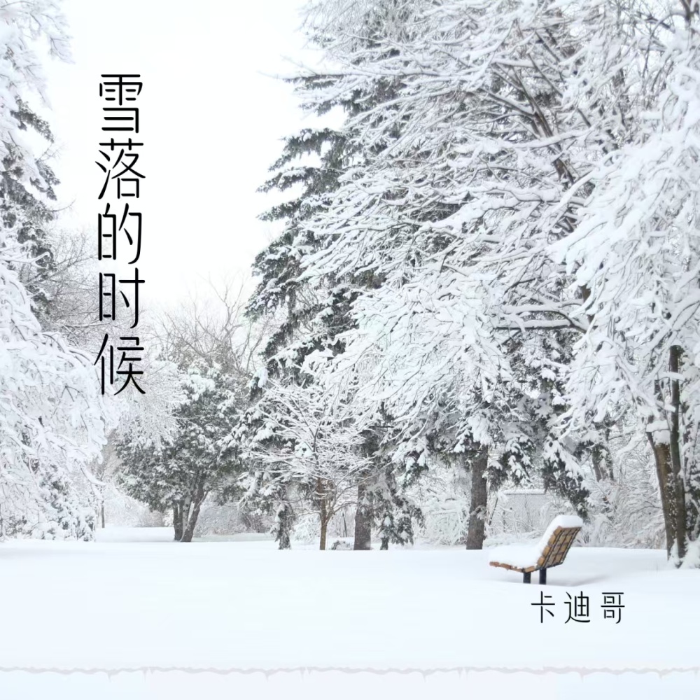 雪落的时候 (伴奏)