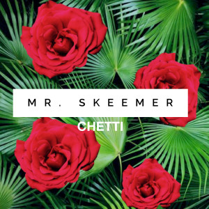 ดาวน์โหลดและฟังเพลง Mr. Skeemer พร้อมเนื้อเพลงจาก Chetti